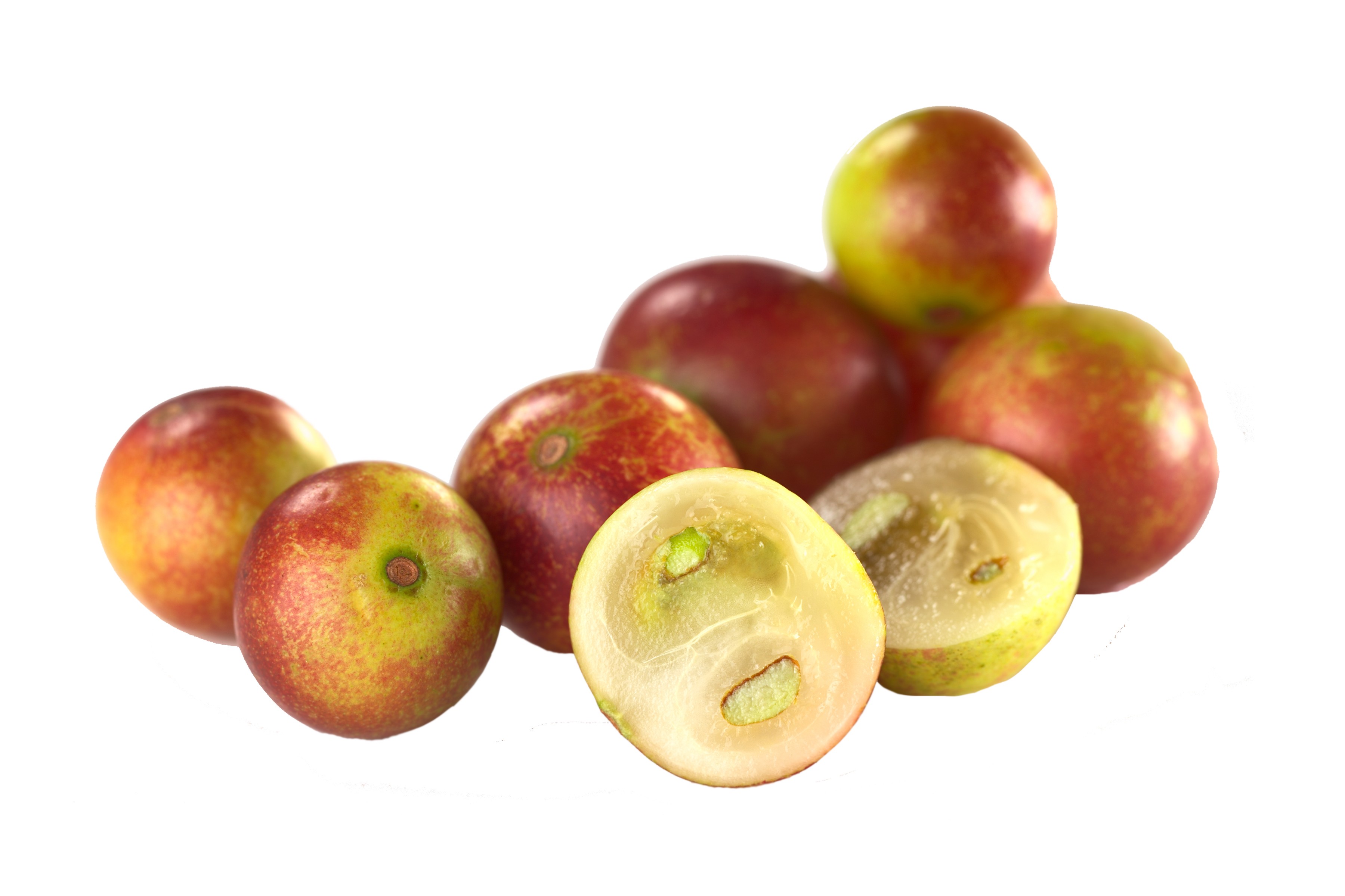 camucamu